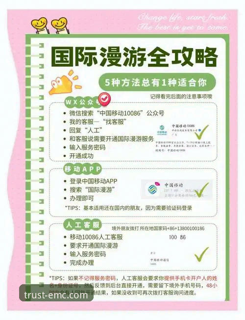 如何掌握emc易倍登录使用技巧，开启顺畅体验之旅？